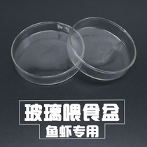 Verre Nourrissons Crystal Shrimp Spiroview Ornamental Shrimp Feeding Basin Feed Basin Sink Bottom Feed Spinach Feeding Basin