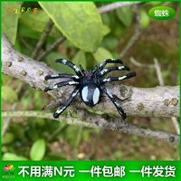 Белый цветок маленький паук (3,5*5 см)