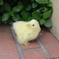 Поверните курицу