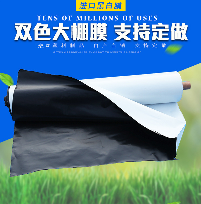 Imported breeding greenhouse black and white film thickened insulation film cooling reflective sunscreen edible fungus black and white film anti-aging pe