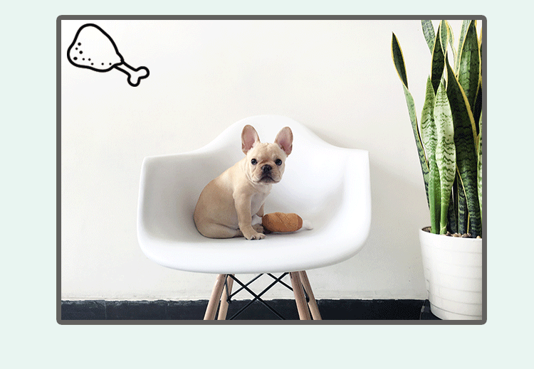 Hakkai đôi xương gà chân âm thanh đồ chơi thú cưng chó mèo đồ chơi chiến đấu Teddy cung cấp đồ chơi bán đồ chơi cho chó