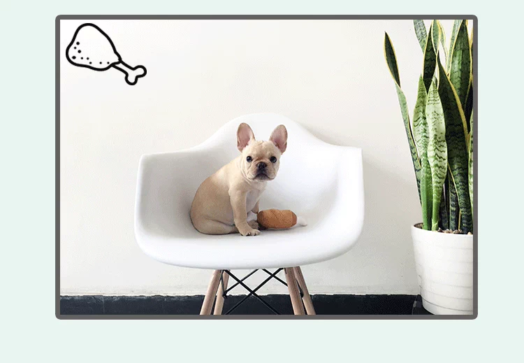 Hakkai đôi xương gà chân âm thanh đồ chơi thú cưng chó mèo đồ chơi chiến đấu Teddy cung cấp đồ chơi do choi thu cung