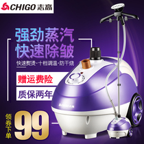 Zhigao handheld hanging bronzed machine ZD168 home steam electric iron ten gear thermoregulation upright ironing machine to be taken