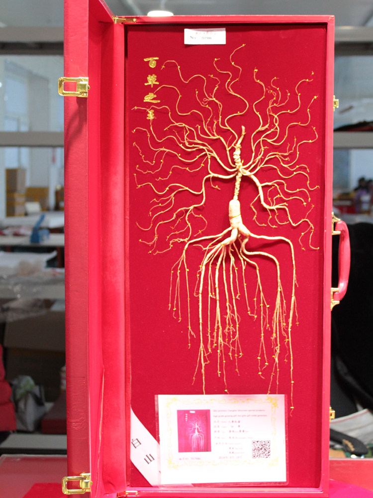 (80 cm) Northeast Changbai Mountain ginseng gift box gift forest ginseng with certificate non-wild ginseng wine