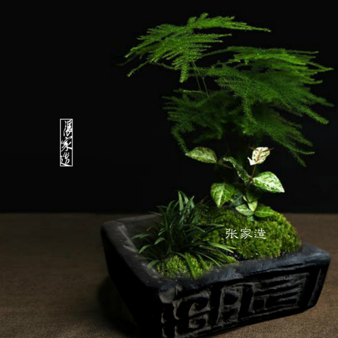 Zhangjia made money grass pot calamus rough pottery pot antique Han brick flower pot succulent moss calamus bonsai Chinese ornament