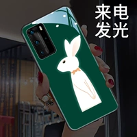 Чернильный зеленый кролик подходит для Huawei P40Pro+Case Mobile Phone Case Mate40pro net Red Mate30epro Женский Mate40e Tid