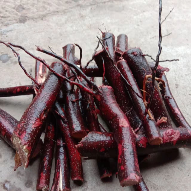Fresh Medicinal Herbs: Horseback Thorn Root, Iron Fence, Money Tree, Saddle Tree, Tiger Thorn, Thorn Plate, Bird-Proof Thorn