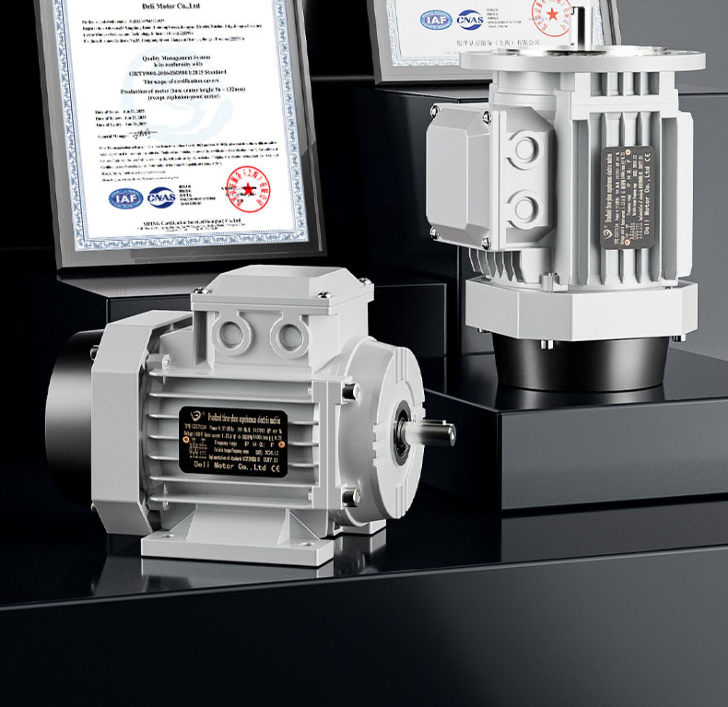 Двигатель Deli MOTOR GS8024 малый фланец