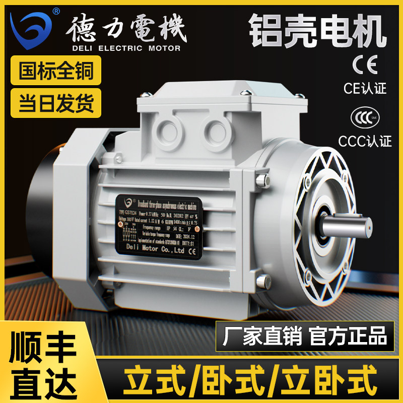 Двигатель Deli MOTOR GS8024 малый фланец