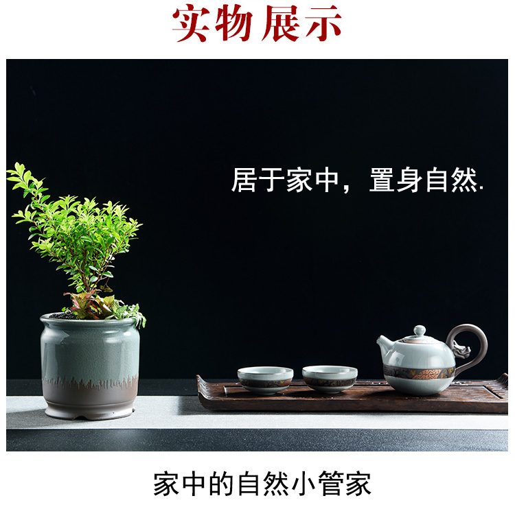 Purple sand flowerpot ceramic Chinese wind restoring ancient ways money plant air pot clay most creative flower pot meat meat meat the plants