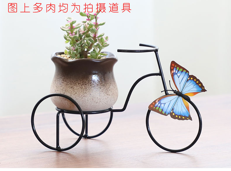 Fleshy coarse pottery flowerpot ceramic creative move desktop furnishing articles decorations contracted breathable meat meat the plants flower pot