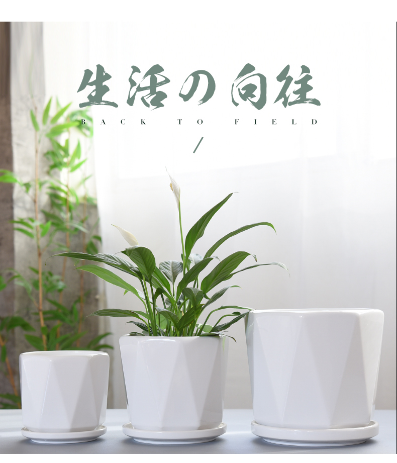 Nordic contracted creative flowerpot ceramics with tray to heavy large move money plant bracketplant small white fleshy flower pot