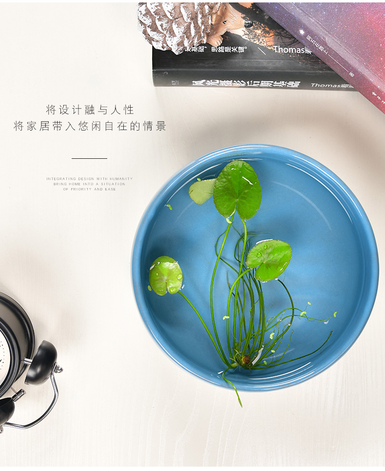 The Leaf of the lotus copper grass flower pot daffodil water lily bowl lotus non - porous ceramics special clearance hydroponic water raise more meat