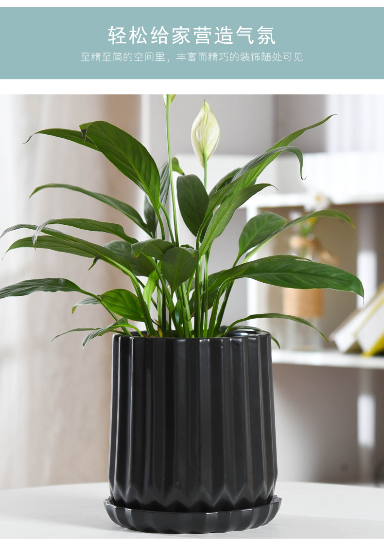 Flowerpot ceramic contracted white Nordic style of creative move pallet money plant green plant the plants mostly meat Flowerpot