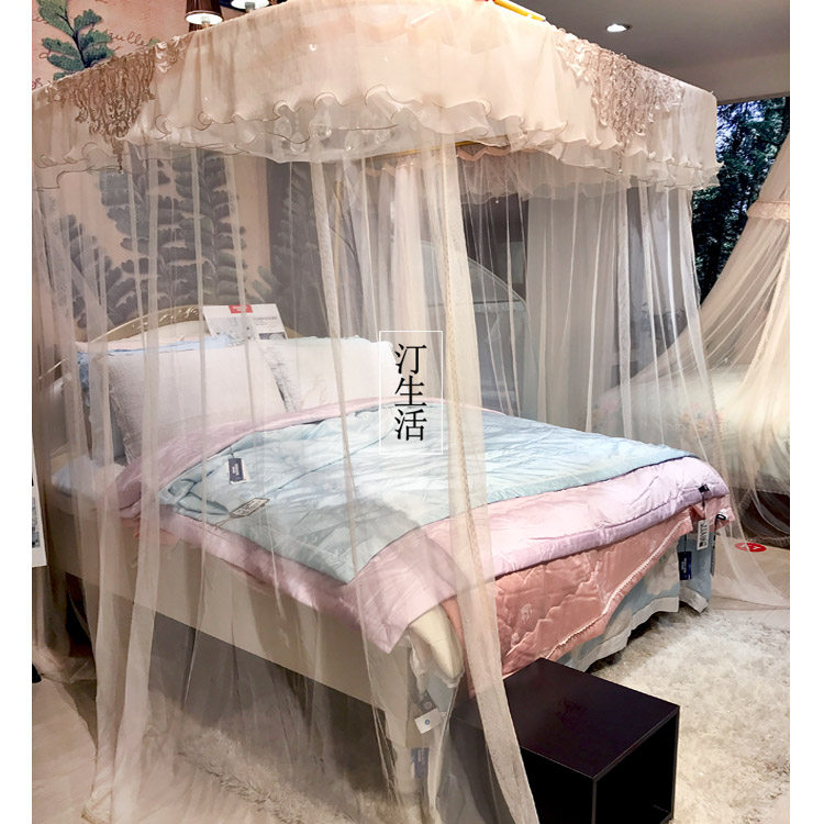 Price reduction : luxury guide rail three open door to floor to the floor of the bed net princess wind court Athena