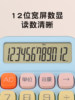 Morning Light Calculator, Multifunctional Financial Calculator, High-Value Student-Specific Cute Electronic Keypad, Financial Simple Office-Type Scientific Calculator, 12-Digit Large Screen Student Calculator