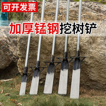 Thickened dig tree shovel landscaping Saplings Manganese Steel Iron Shovel Outdoor Tree Root Dug Earth Pit Luoyang Shovel Agricultural Tool