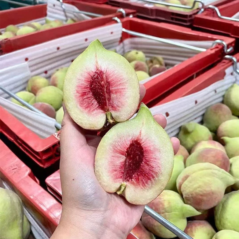 正宗鹰嘴桃基地店