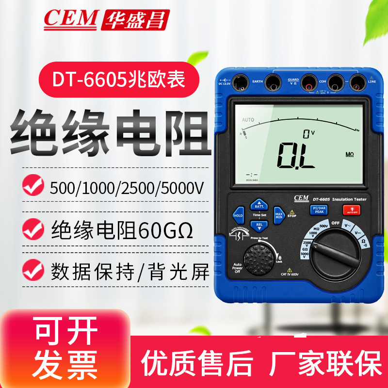 CEM Huashengchang DT-6605 Insulation Resistance Tester 5000V High Voltage Insulation Meter Megohmmeter