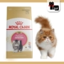 Tu Cat Pet Trong nước Royal Cat Food KP32 Ba Tư Cat Cat Food 2kg Cat Main Grain Thức ăn khô 21 Tỉnh hạt whiskas cho mèo con