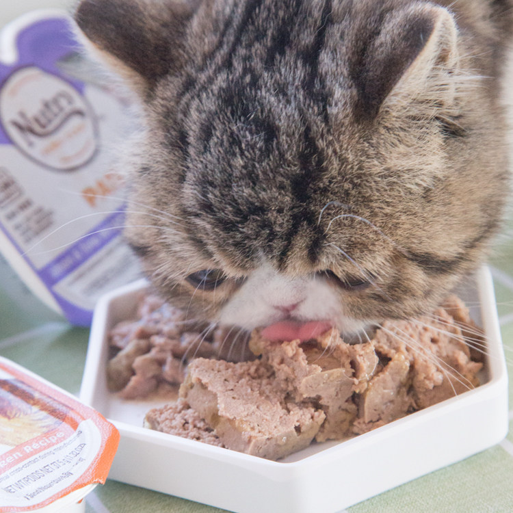 Кошки закуски 土猫 美士一分为二猫罐头无谷主食罐成幼猫餐盒湿粮75g混拼12罐
