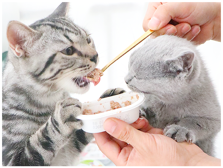 Кошки закуски 土猫 美士一分为二猫罐头无谷主食罐成幼猫餐盒湿粮75g混拼12罐