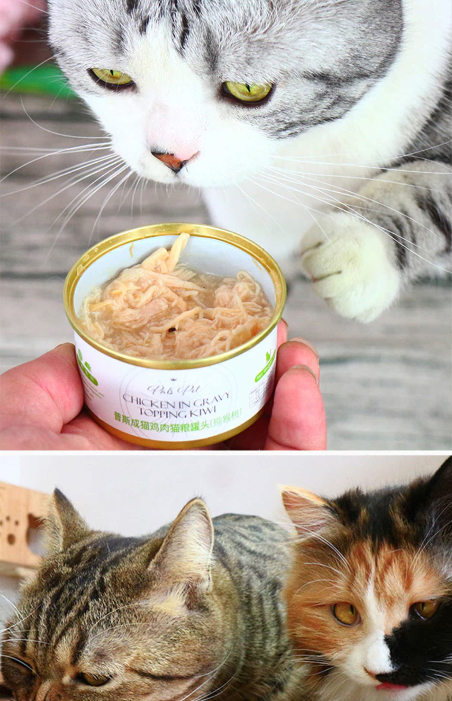 Mèo đất Thái Lan pals pet pus vào mèo trái cây và rau mèo mèo đóng hộp ăn nhẹ 70g * 24 can - Đồ ăn nhẹ cho mèo hạt royal canin mother & babycat
