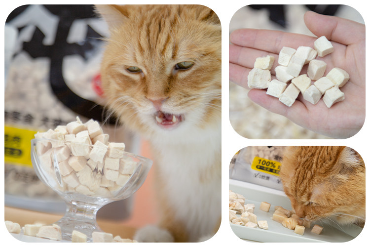 猫冻干零食 土猫宠物 路斯猫冻干零食成幼猫增肥发腮鸡胸肉粒营养生骨肉500g