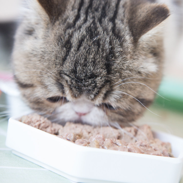 Кошки закуски 土猫 美士一分为二猫罐头无谷主食罐成幼猫餐盒湿粮75g混拼12罐