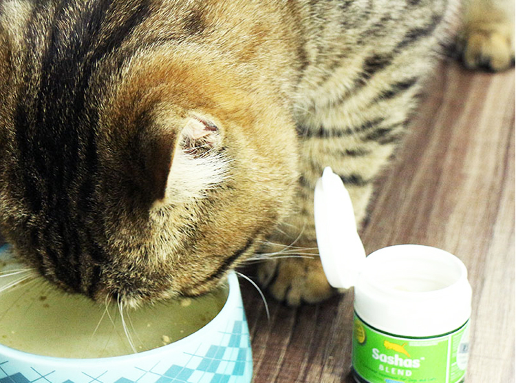 Tu Cat Sasha / Sasha Joint Spirit Capsules Folding Ngực Chondroitin để Sửa chữa Viêm khớp 30 Viên nang - Cat / Dog Health bổ sung sữa cho chó tốt nhất	