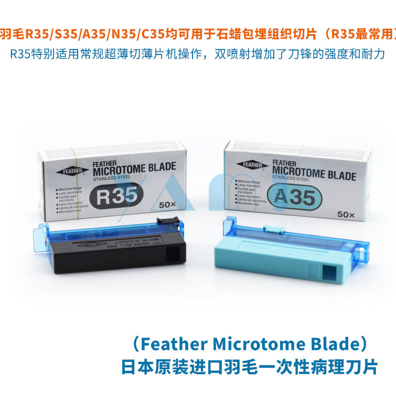 日本原装羽毛刀片R35 S35 A35 N35石蜡切片机单片