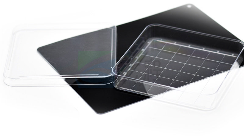 一次性方形培养皿10*10cm 塑料10套/包 分隔线 已灭菌