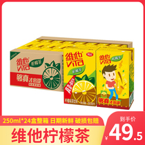 Vita Lemon Tea 250ml * 24 Boxed Vitasoy Soy Milk Low Sugar Lemon Tea Fruit Flavor Drink Wholesale