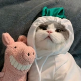 Новая осенняя и зимняя коробка для собачьей одежды для собак маленькая и средняя зимняя битва бишон медвежь