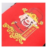 Новогодние собачье кошачья одежда для домашних животных в осенних и зимних бархатных свитерах, поздравляю, поздравляю Бога Фортуна Две юбки