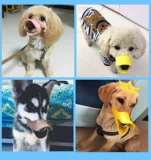 Корпус собаки анти -бедьеры и анти -руга