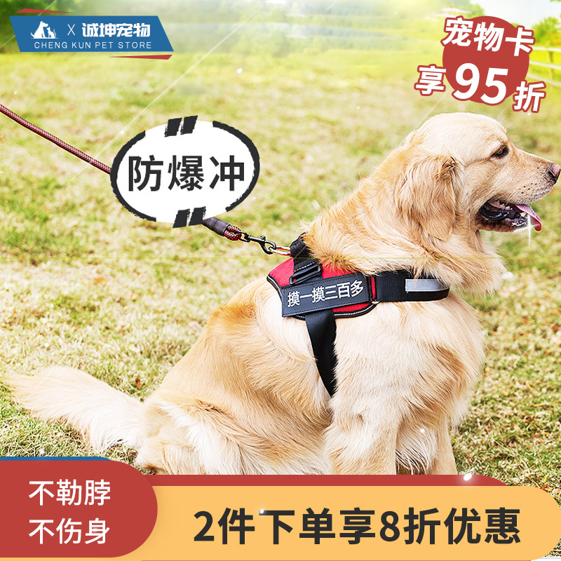 Pet collar vest walking dog traction rope medium and large dog chest strap gold hair Teddy Boomei dog chain