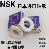 Zirconia full ceramic bearing 608 6000 6001 6002 6003 6004 6005 6006 6007