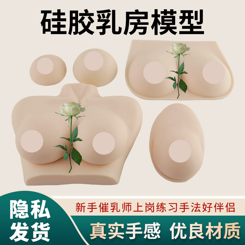 仿真女性乳房模型 硅胶实心 家政月嫂 催乳师培训 医院产科培训