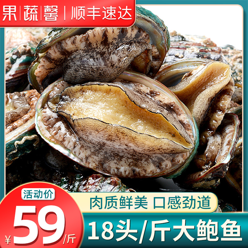 18-20 head fresh abalone 500g big pot vegetable seafood Small abalone Fresh frozen aquatic frozen non-ready-to-eat shellfish