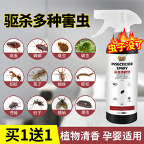 Insecticide spray Household in addition to fleas ants bedbugs sprays deworming artifacts to go indoors non-toxic
