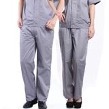 帝御 Летний комплект для работы, униформа медсестры, штаны, короткий рукав, стиль