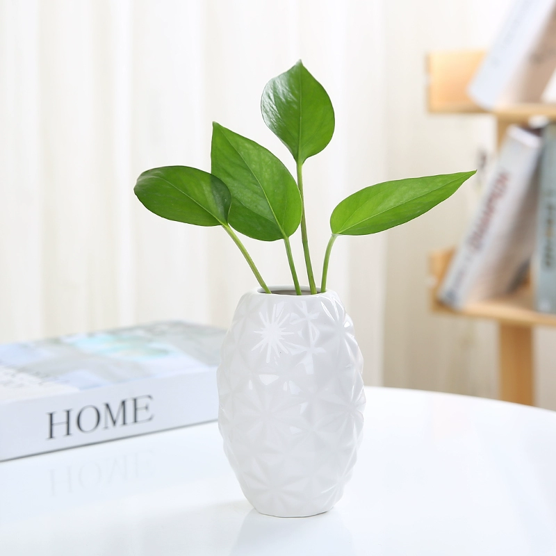 Đồ trang trí phòng khách sáng tạo nhà sư nước trồng hoa phụ kiện nhà bàn trà củ cải xanh bình hoa gốm sứ thủy canh - Vase / Bồn hoa & Kệ