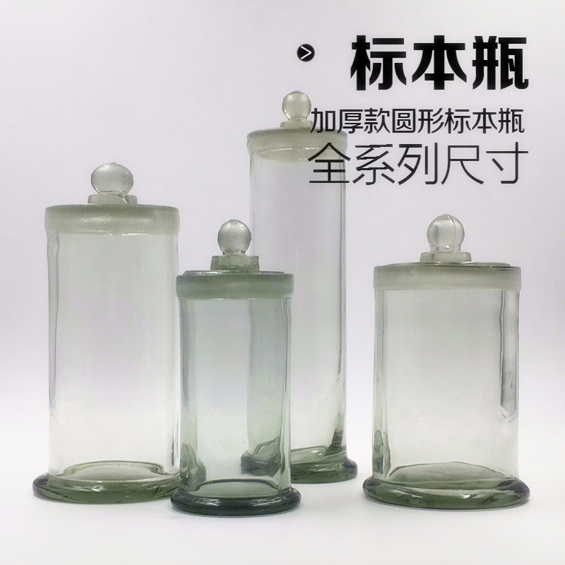 标本瓶 圆形标本缸 展示瓶 样品瓶 磨口加厚透明标本缸 包邮