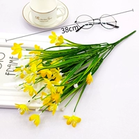 Spring Grass Orchid Orchid Single Beam (желтый)