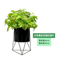 Большая черная цветочная подставка+листья эритема