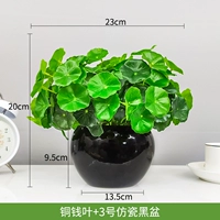 Медная монетная лист+3 Имитационный фарфор черный бассейн