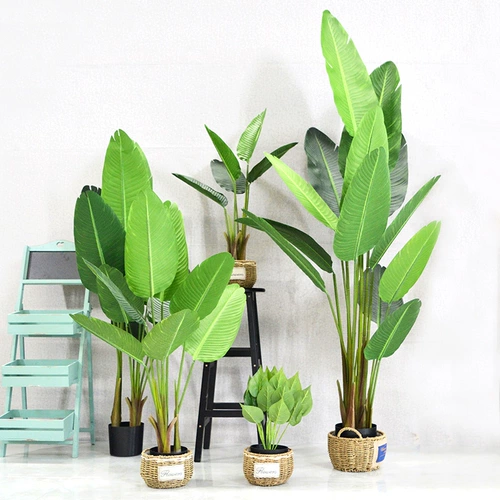 Nordic Simulation Plant Presser, банановая черепаха листьев листьев листьев листьев листьев листьев листьев листьев большой посадка зеленый бонсай.