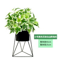 Маленький черный цветочный стенд+белый лазание тигр