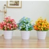 Hoa giả mô phỏng cắm hoa hoa nhựa hoa đặt phòng khách nhà trang trí nội thất nhà máy trang trí chậu - Hoa nhân tạo / Cây / Trái cây cây hoa hồng giả Hoa nhân tạo / Cây / Trái cây